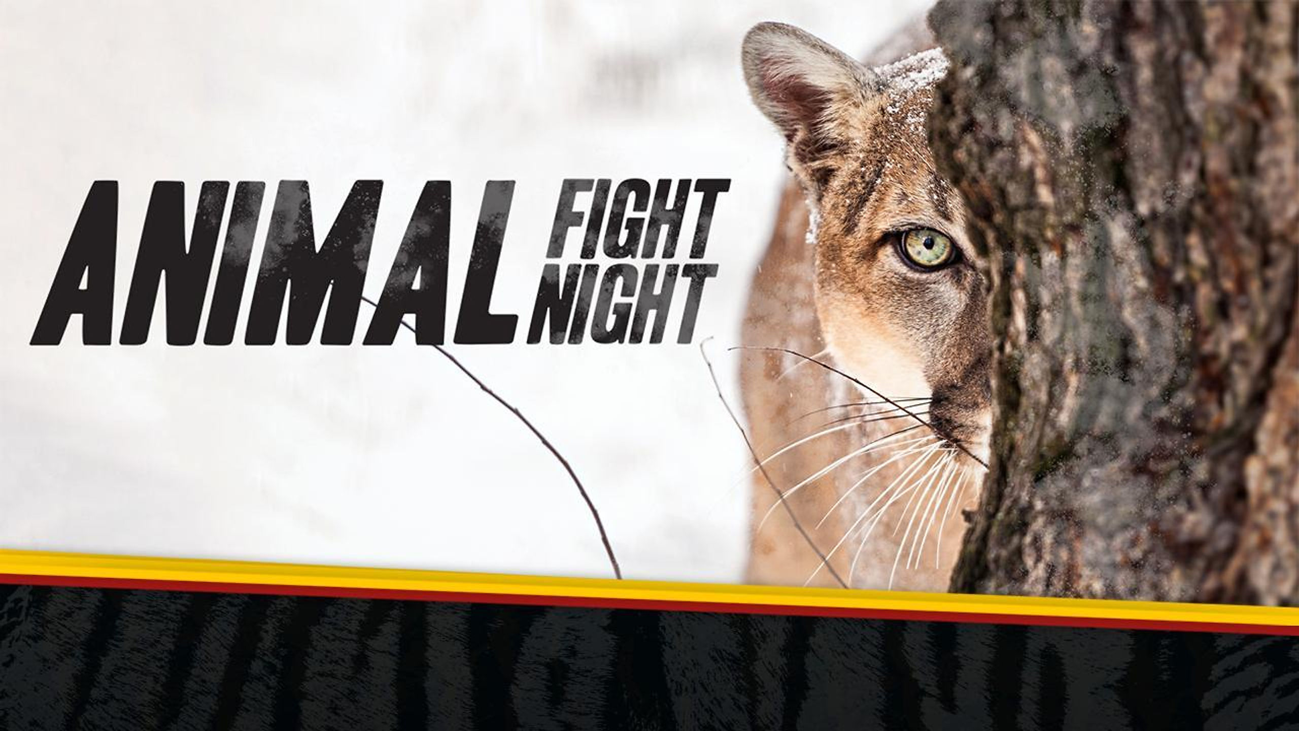 Animal Fight Night 3 - Nat Geo